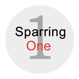Sparring One