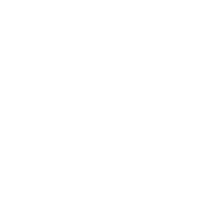fa chart simple solid white