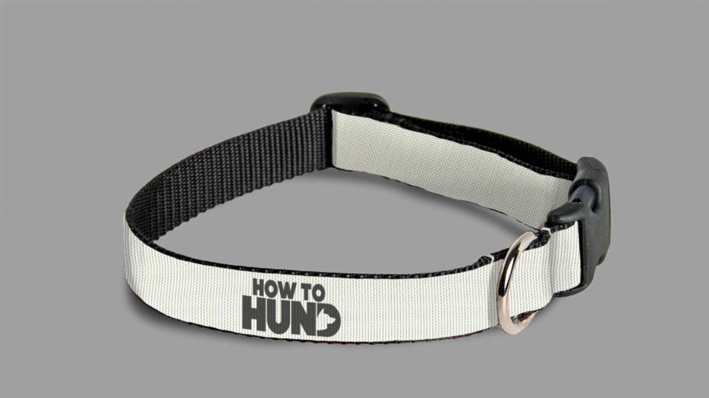 How to hund logo mockup v3